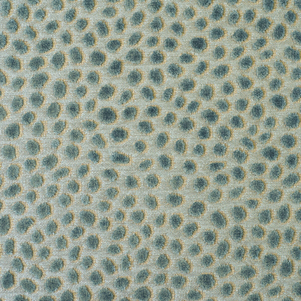 Cosma - Teal/Aqua Beige By Baker Lifestyle | Foxwood |Dots  Multipurpose Velvet