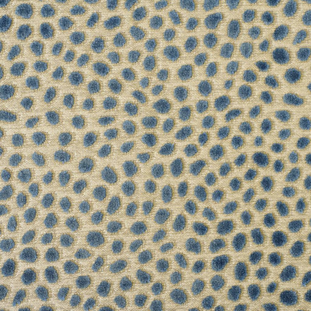 Samples and Purchasing available for Cosma - Blue Blue By Baker Lifestyle | Foxwood |Dots  Multipurpose Velvet at Designer Wallcoverings and Fabrics