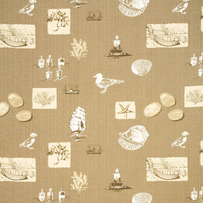 Sennen - Oatmeal Beige By Baker Lifestyle | Beachcomber Collection |Animal/Insects Novelty Multipurpose Print