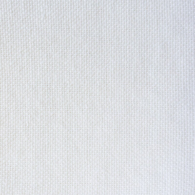 Dobra - Blanco White By Gaston Y Daniela | Lorenzo Castillo Vii The Rectory |Solid Texture Upholstery