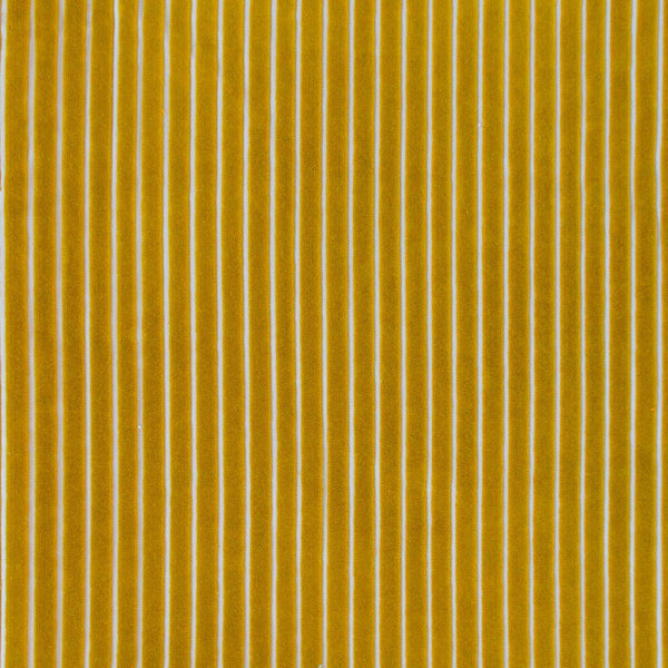 Mayrit - Aceite Gold By Gaston Y Daniela | Lorenzo Castillo Ix Hesperia | Stripes Upholstery Velvet