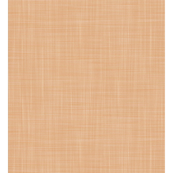 Mahon - Calabaza Orange By Gaston Y Daniela | Lorenzo Castillo V | Solid Wallcovering