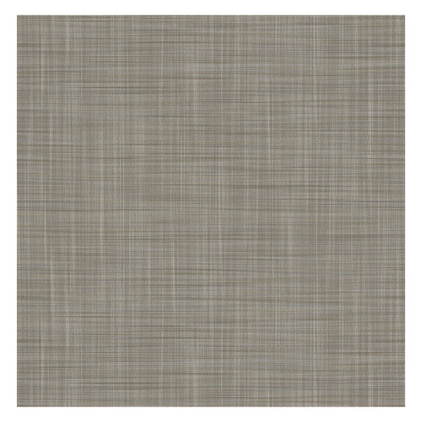 Samples and Purchasing available for Mahon - Gris Grey By Gaston Y Daniela | Lorenzo Castillo V | Solid Wallcovering  at Designer Wallcoverings and Fabrics