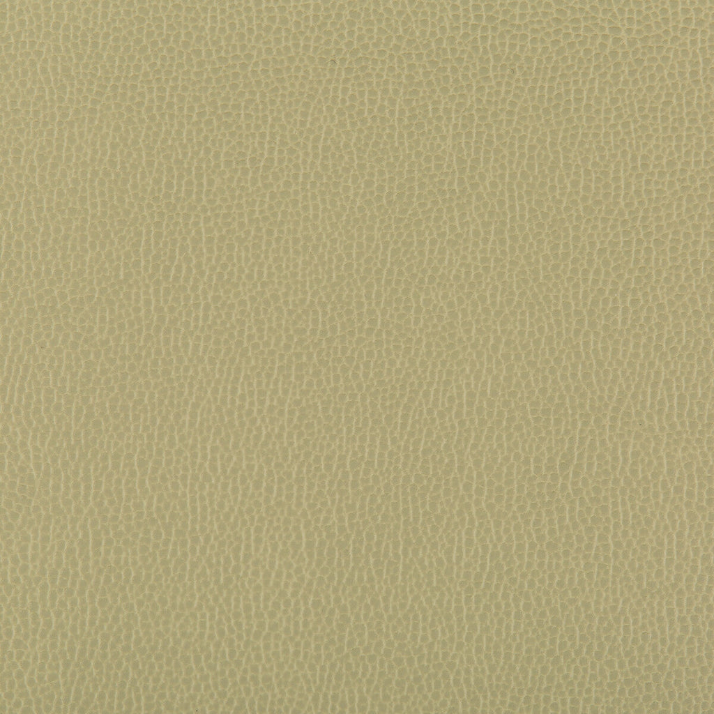 Samples and Purchasing available for Lenox - Sage Light Green By Kravet Contract |  |Solid Texture Upholstery Vinyl/Faux Leather at Designer Wallcoverings and Fabrics