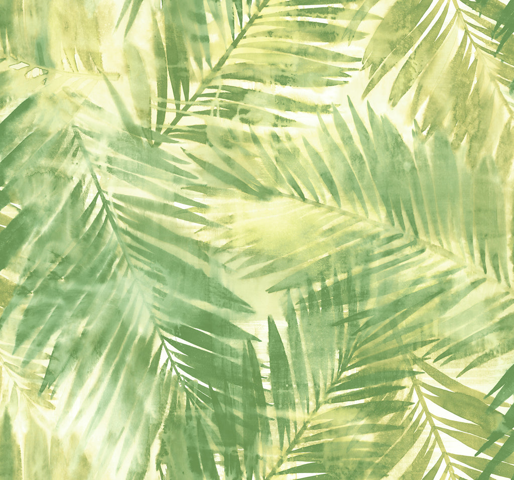 Malibu Kentmere Wallpaper - Transitional Botanical - Fern Green and Off-White | Malibu Wallpaper