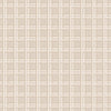 Nus Beige, Roll Vinyl