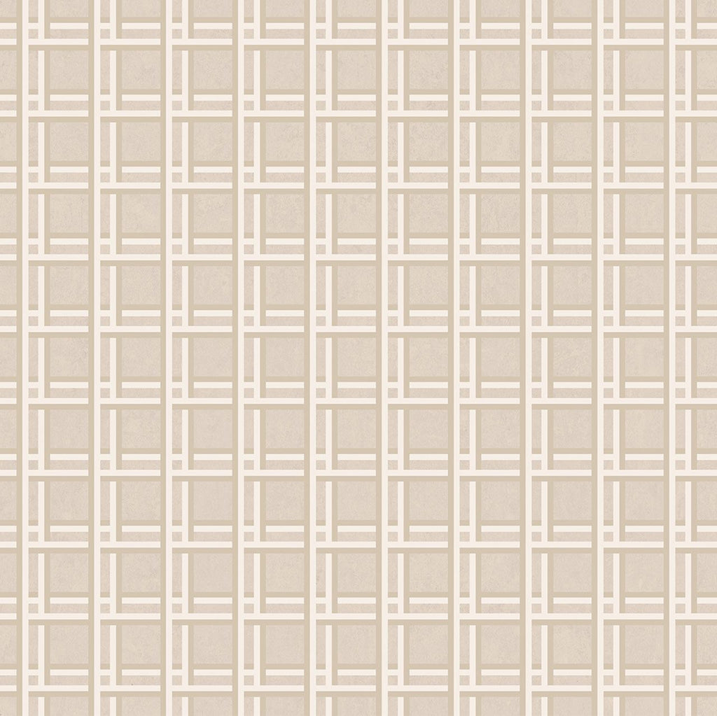 Nus Beige, Roll Vinyl