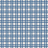 Nus Blue, Roll Vinyl