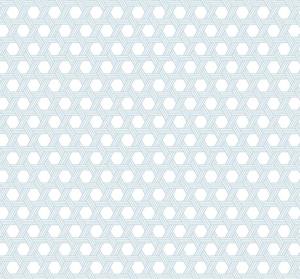 Malibu Cabana Wicker Wallpaper - Coastal Wicker - Carolina Blue and Eggshell | Malibu Wallpaper