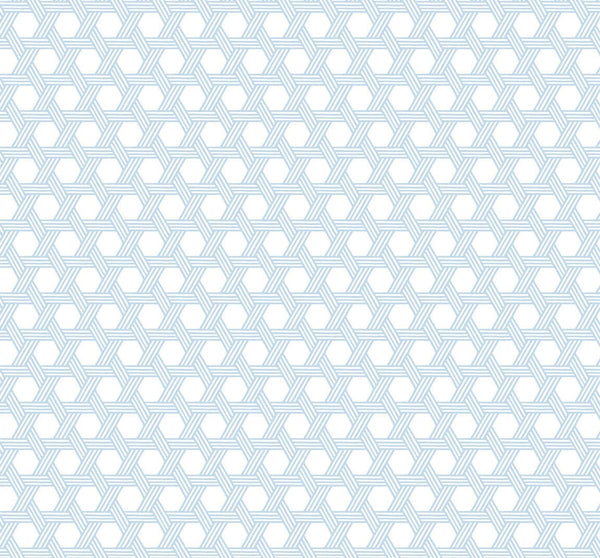Malibu Cabana Wicker Wallpaper - Coastal Wicker - Carolina Blue and Eggshell | Malibu Wallpaper
