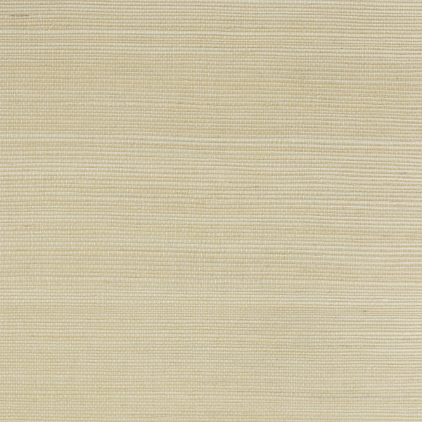 Fentucci Sisal Wallpaper - Contemporary Grasscloth - Sugar Cookie | Malibu Wallpaper