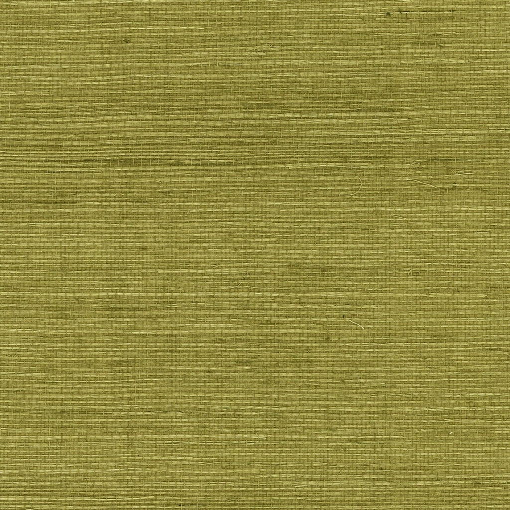 Fentucci Sisal Grasscloth Wallpaper - Coastal Grasscloth - Olive | Fentucci