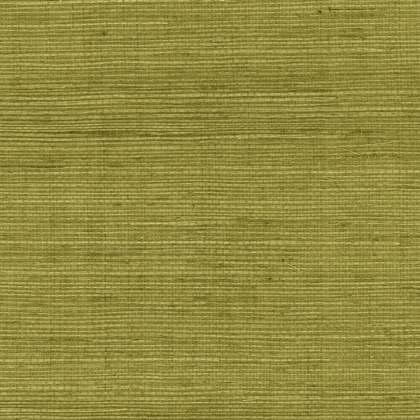 Fentucci Sisal Grasscloth Wallpaper - Coastal Grasscloth - Olive | Fentucci