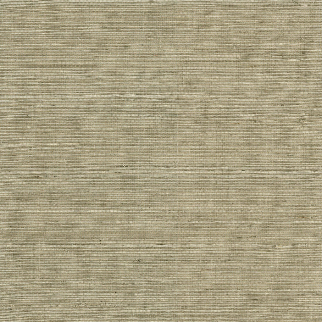 Fentucci Sisal Grasscloth Wallpaper - Coastal Grasscloth - Wheat Grass | Fentucci