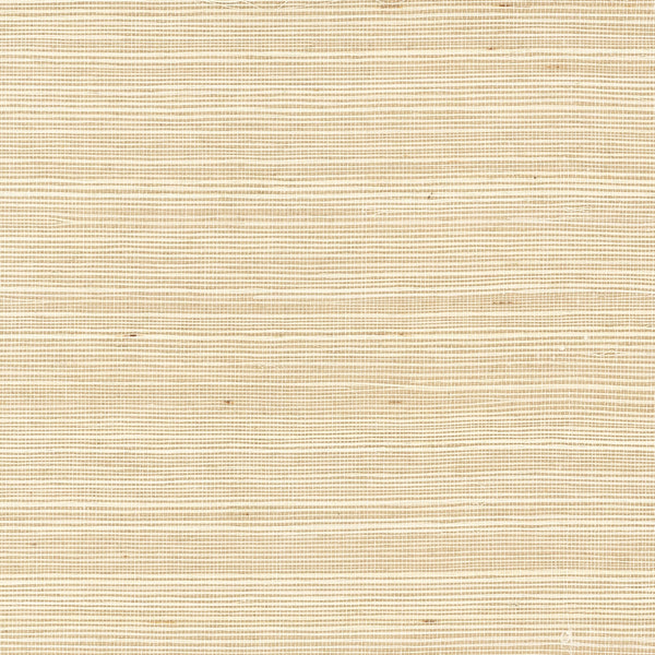 Fentucci Sisal Grasscloth Wallpaper - Coastal Grasscloth - Crème Brule | Fentucci