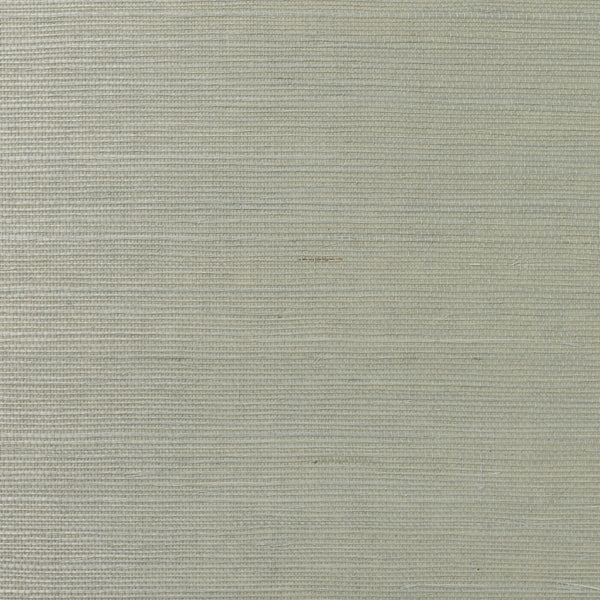 Fentucci Sisal Wallpaper - Contemporary Grasscloth - Green Lacewing | Malibu Wallpaper