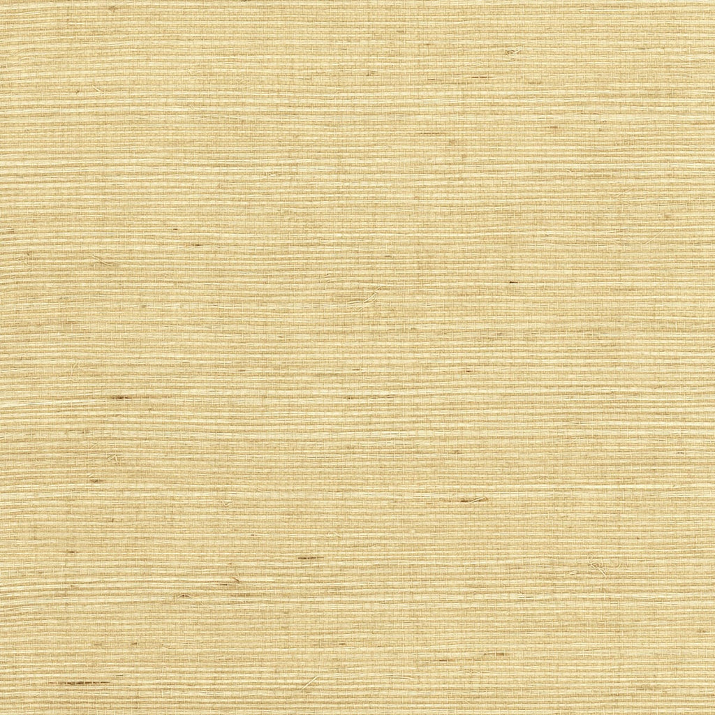 Fentucci Sisal Grasscloth Wallpaper - Coastal Grasscloth - Desert Limestone | Fentucci