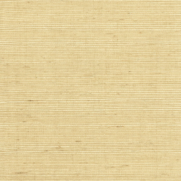 Fentucci Sisal Grasscloth Wallpaper - Coastal Grasscloth - Desert Limestone | Fentucci