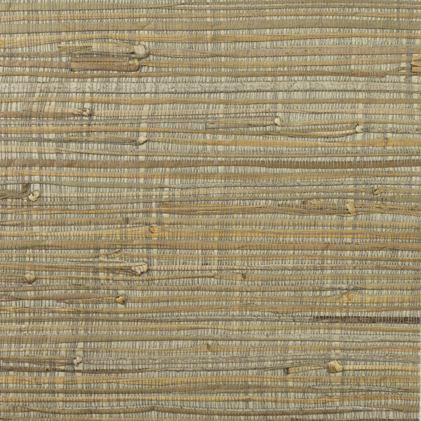 Fentucci Rushcloth Wallpaper - Contemporary Grasscloth - Wicker | Malibu Wallpaper