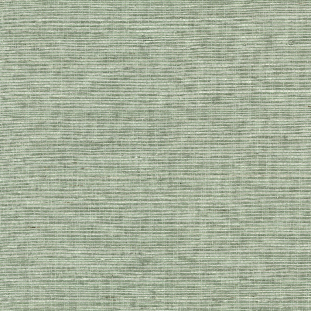 Fentucci Sisal Grasscloth Wallpaper - Coastal Grasscloth - Sea Oat | Fentucci