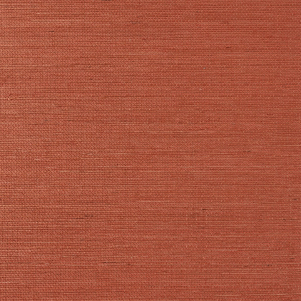 Fentucci Sisal Wallpaper - Contemporary Grasscloth - Blood Orange | Malibu Wallpaper