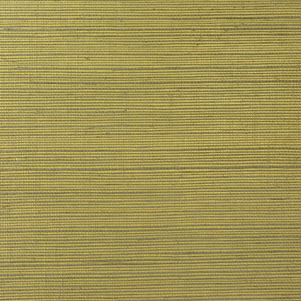 Fentucci Sisal Wallpaper - Contemporary Grasscloth - Metallic Gold and Aloe | Malibu Wallpaper