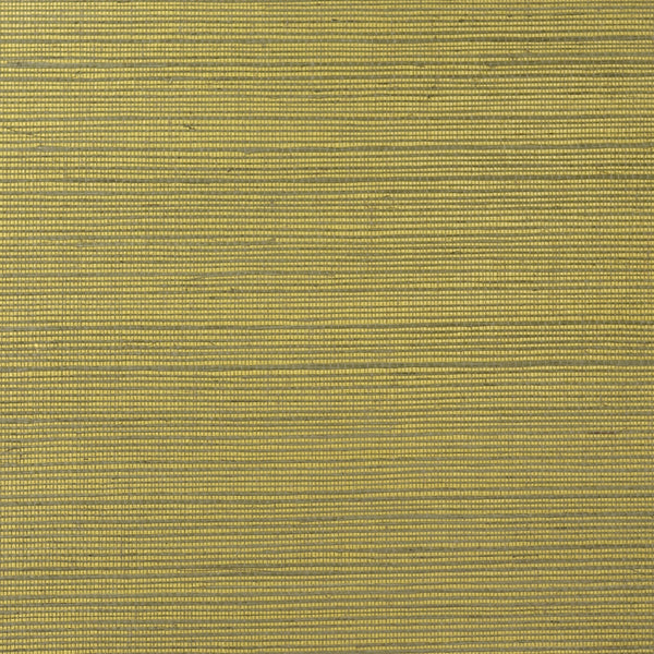 Fentucci Sisal Wallpaper - Contemporary Grasscloth - Metallic Gold and Aloe | Malibu Wallpaper