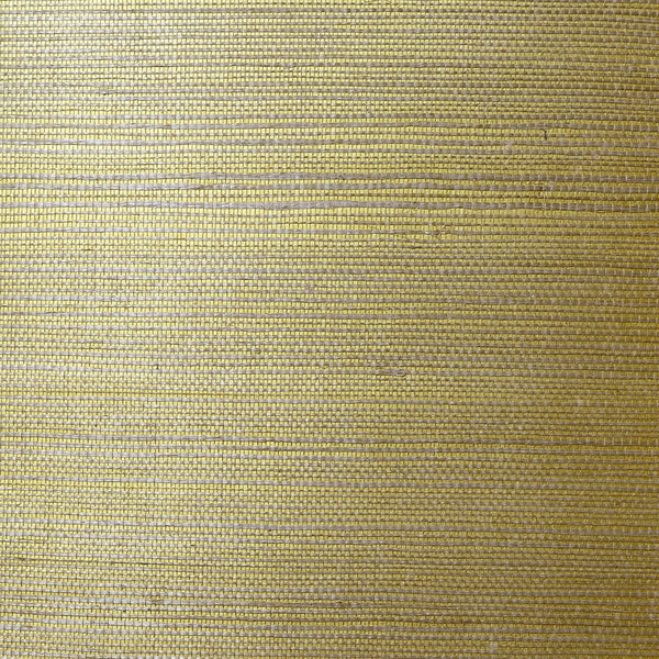 Fentucci Sisal Grasscloth Wallpaper - Coastal Grasscloth - Metallic Gold and Aloe | Fentucci