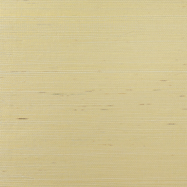 Fentucci Sisal Contemporary Grasscloth - Ivory & Metallic Gold | Architectural Wallcoverings