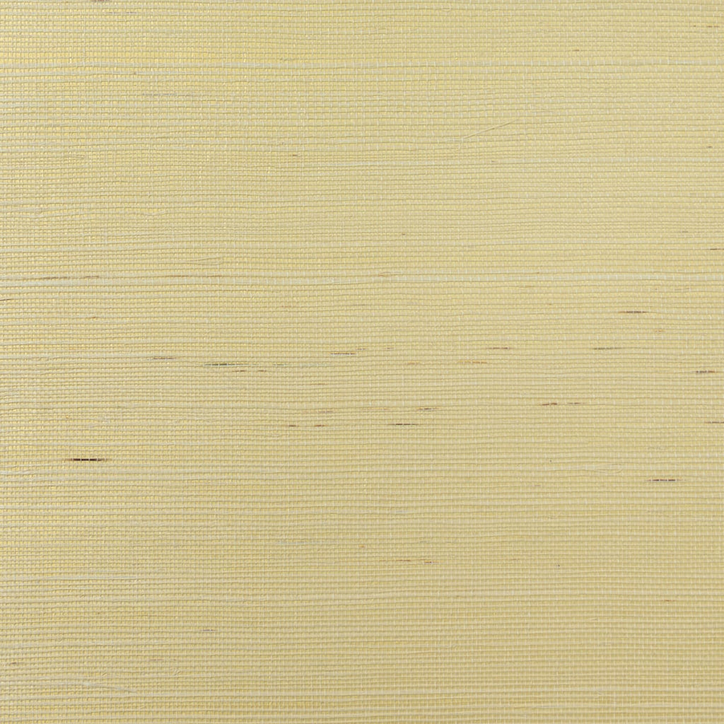 Fentucci Sisal Wallpaper - Contemporary Grasscloth - Ivory & Metallic Gold | Malibu Wallpaper