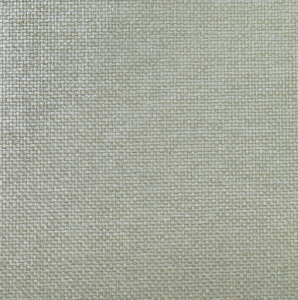 Fentucci Paperweave Contemporary Grasscloth - Metallic Silver & Snowstorm | Architectural Wallcoverings