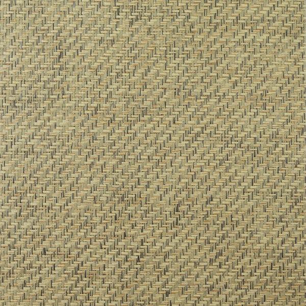 Fentucci Paperweave Contemporary Grasscloth - Barley | Architectural Wallcoverings