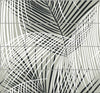 Malibu PS Palm Tile Coastal Botanical - Ebony & Fieldstone | Peel and Stick Removable Wallpaper