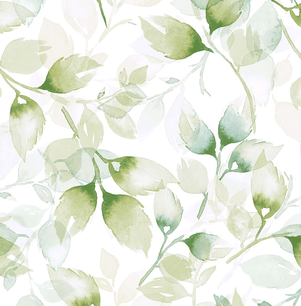 Malibu PS Watercolor Tossed Leaves Contemporary Botanical - Green Ivy | Peel and Stick Removable Wallpaper