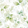 Malibu PS Watercolor Tossed Leaves Contemporary Botanical - Green Ivy | Peel and Stick Removable Wallpaper