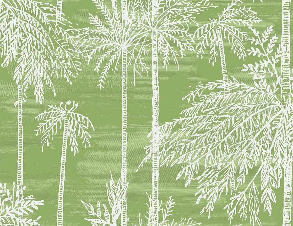 Malibu Palm Grove  Wallpaper - Coastal Botanical - Summer Fern | Malibu Wallpaper