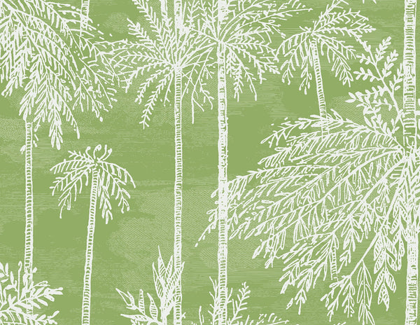 Malibu Palm Grove  Wallpaper - Coastal Botanical - Summer Fern | Malibu Wallpaper
