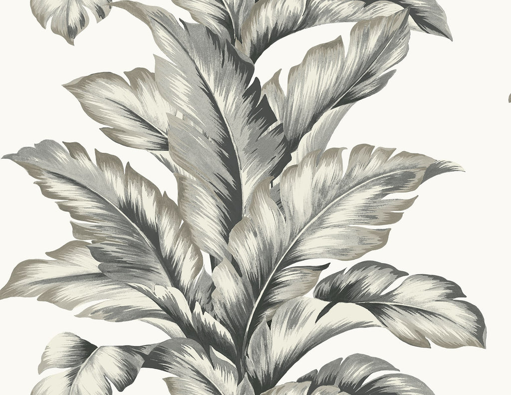 Malibu Banana Springs  Wallpaper - Coastal Botanical - Greystone | Malibu Wallpaper