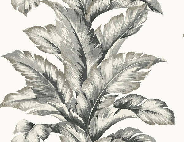 Malibu Banana Springs  Wallpaper - Coastal Botanical - Greystone | Malibu Wallpaper