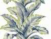Malibu Banana Springs  Wallpaper - Coastal Botanical - Deep Sea | Malibu Wallpaper