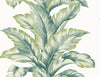 Malibu Banana Springs  Wallpaper - Coastal Botanical - Rivercrest | Malibu Wallpaper