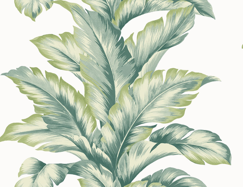 Malibu Banana Springs  Wallpaper - Coastal Botanical - Rivercrest | Malibu Wallpaper