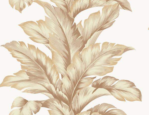 Malibu Banana Springs  Wallpaper - Coastal Botanical - Peachy | Malibu Wallpaper