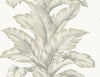 Malibu Banana Springs  Wallpaper - Coastal Botanical - Fieldstone | Malibu Wallpaper