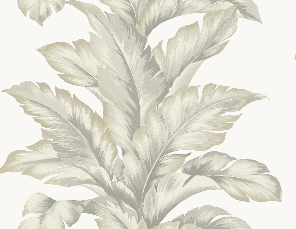 Malibu Banana Springs  Wallpaper - Coastal Botanical - Fieldstone | Malibu Wallpaper