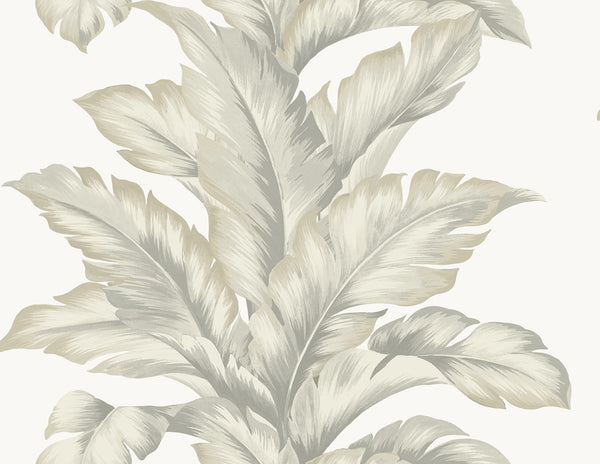 Malibu Banana Springs  Wallpaper - Coastal Botanical - Fieldstone | Malibu Wallpaper