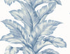 Malibu Banana Springs  Wallpaper - Coastal Botanical - Blue Skies | Malibu Wallpaper