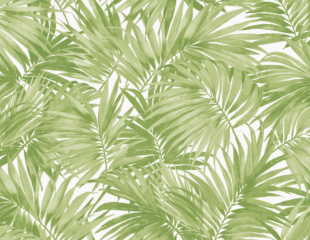 Malibu Cordelia Tossed Palms Wallpaper - Coastal Botanical - Spring Green | Malibu Wallpaper