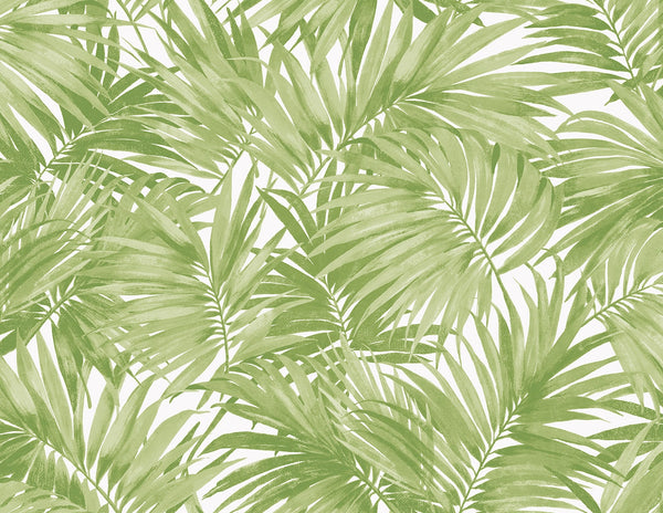 Malibu Cordelia Tossed Palms Wallpaper - Coastal Botanical - Spring Green | Malibu Wallpaper