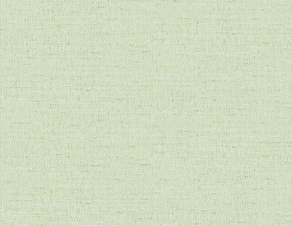 Fentucci Kaya Faux Paperweave Coastal Faux Grasscloth - Meadow | Architectural Wallcoverings